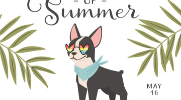 May 2021 at Mosaic Makers Collective