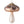 Load image into Gallery viewer, Mushroom Ornament
