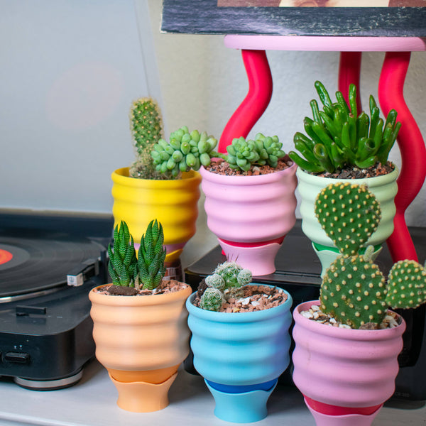 3" Small Wiggle Planters: Red + Pink