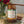 Load image into Gallery viewer, Pumpkin Butter
