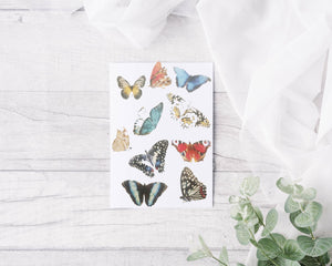 Butterflies bright- Greeting card - 1