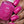 Load image into Gallery viewer, Yabba Dabba Do - Pink Nail Polish - 5
