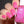 Load image into Gallery viewer, Mr. Mint - Pink Nail Polish - 5
