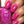 Load image into Gallery viewer, Mr. Mint - Pink Nail Polish - 6
