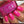 Load image into Gallery viewer, Mr. Mint - Pink Nail Polish - 7
