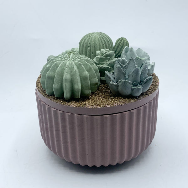 Concrete Succulent Garden Container - Ribbed - 4