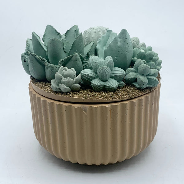 Concrete Succulent Garden Container - Ribbed - 5