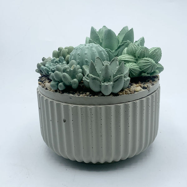 Concrete Succulent Garden Container - Ribbed - 2