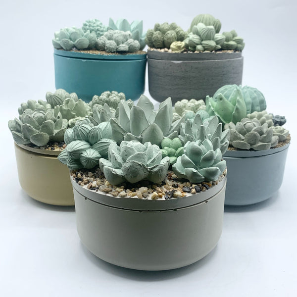 Concrete Succulent Garden Container - 7