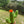 Load image into Gallery viewer, Crochet Cactus - 2
