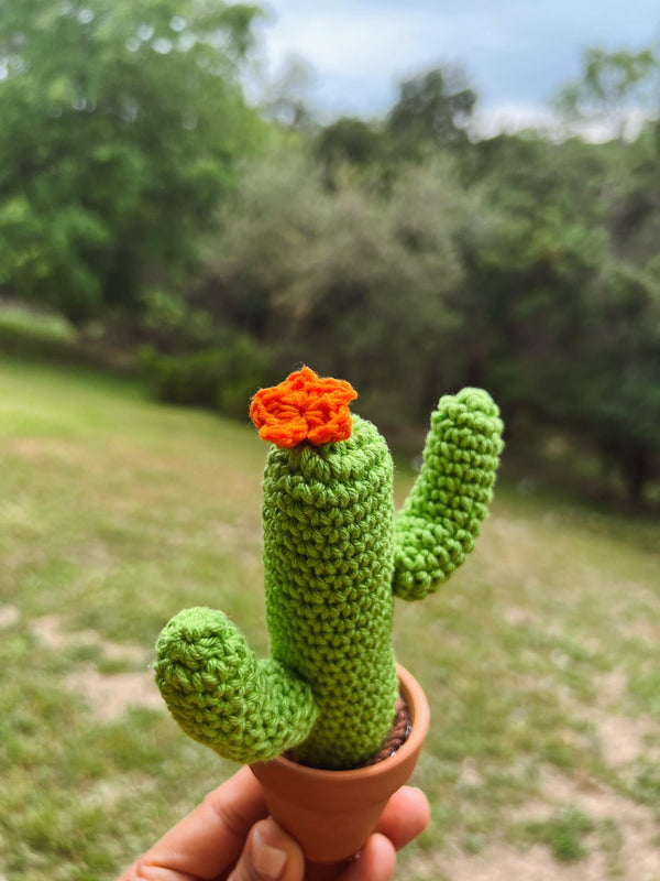 Crochet Cactus - 2