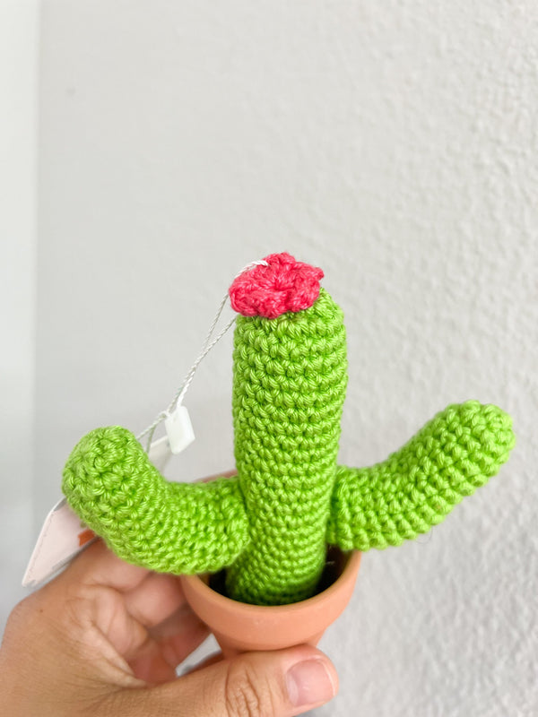 Crochet Cactus - 3