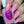 Load image into Gallery viewer, Pink Christmas - Light Pink Limited Edition Nail Polish - 3
