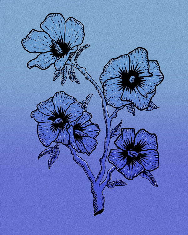 Blue Hibiscus Fine Art Print - 1