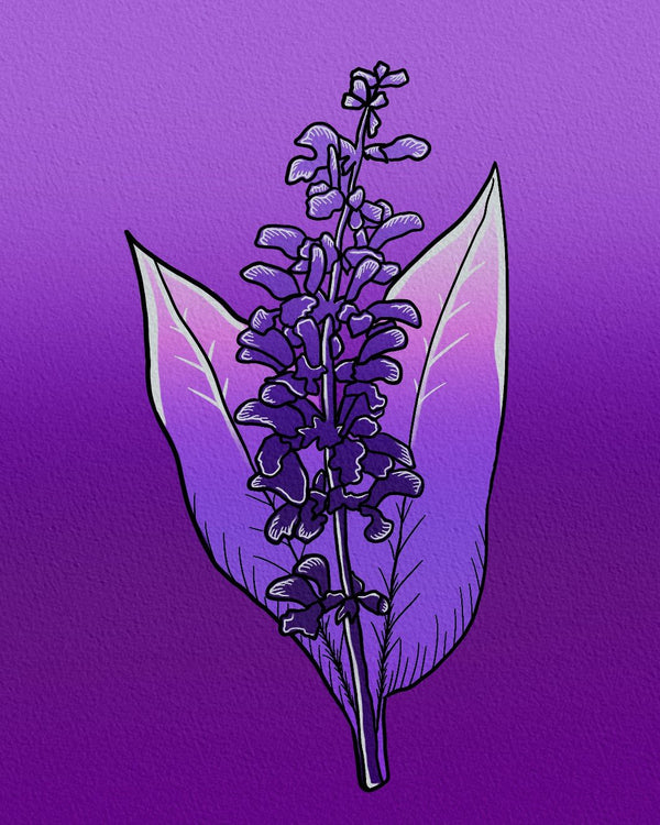 Purple Wildflower Fine Art Print - 1