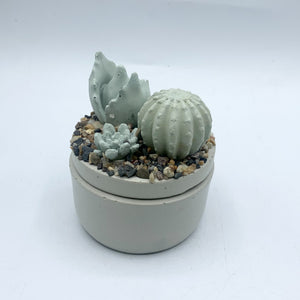 Mini Concrete Succulent Garden Container - 1