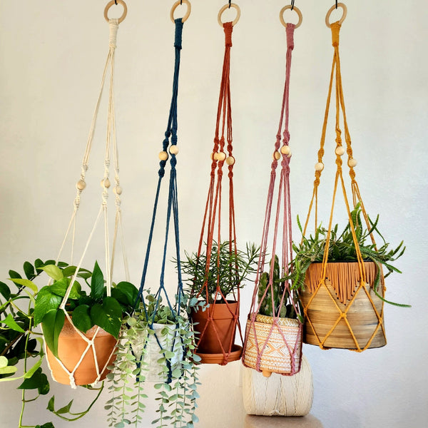 Macrame Plant Hanger With No Tassels - 3