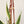 Load image into Gallery viewer, Macrame Plant Hanger With No Tassels - 5
