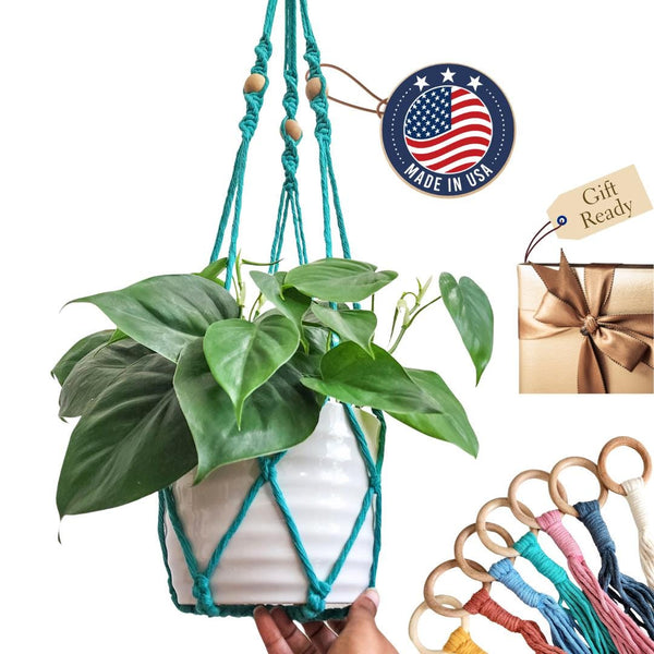 Macrame Plant Hanger With No Tassels - 8