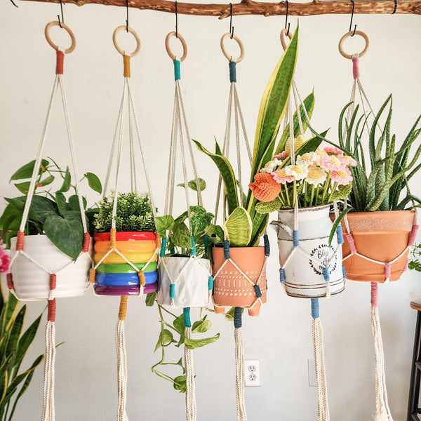 Color Block Plant Hangers - 6