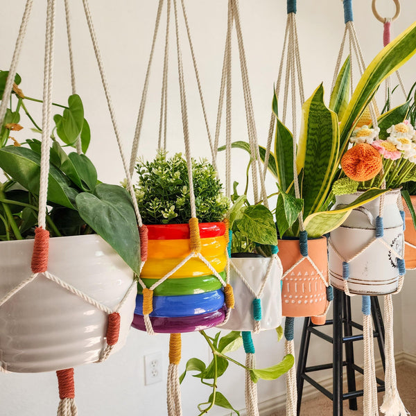 Color Block Plant Hangers - 8