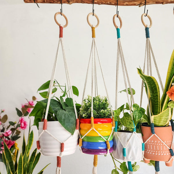 Color Block Plant Hangers - 9