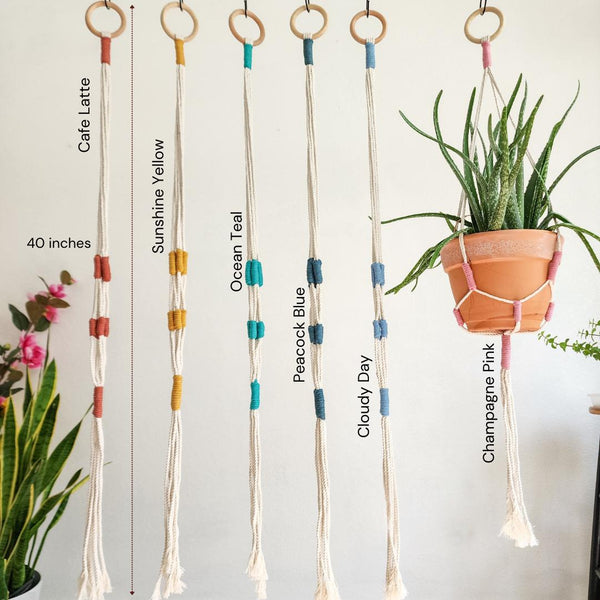 Color Block Plant Hangers - 7