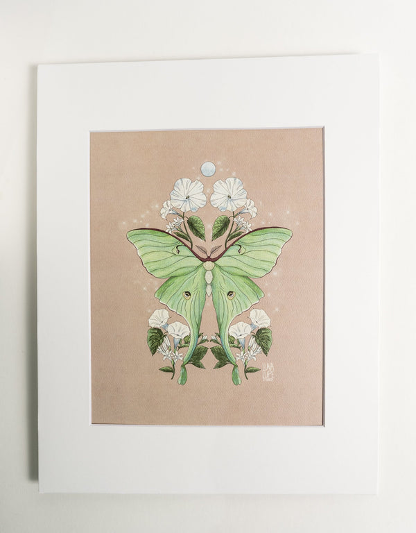 Luna Moth Art Print | Cream Background - 2