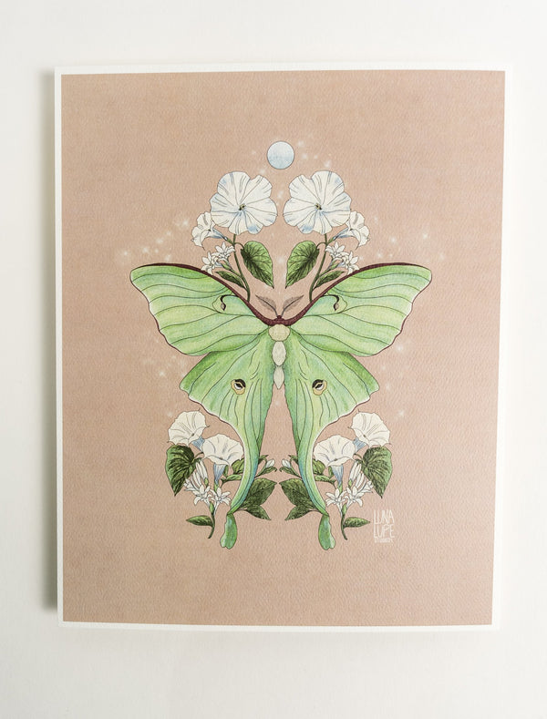 Luna Moth Art Print | Cream Background - 1