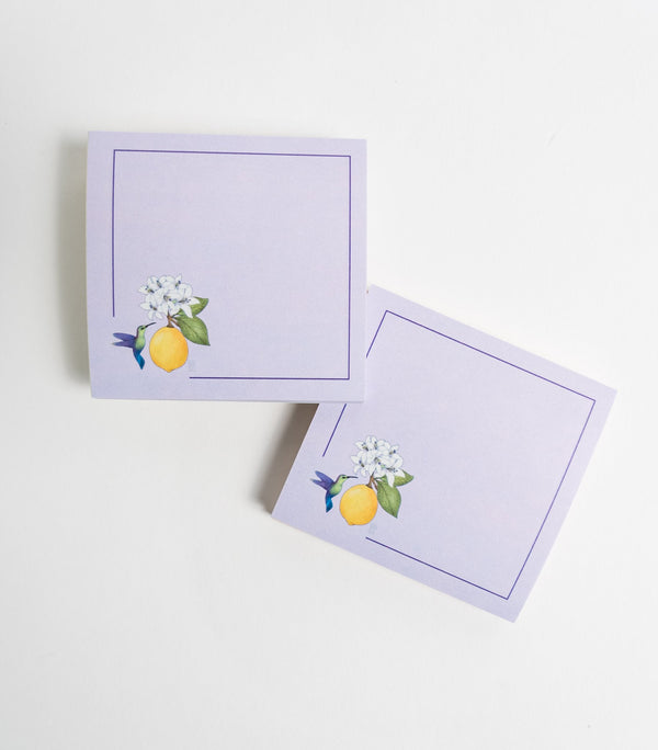 Hummingbird and Lemon Fruit Sticky Notes - 2