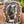 Load image into Gallery viewer, Mama Bear Sticker

