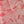 Load image into Gallery viewer, 611fc05e3c4ce80992caae23_backyardbugclub-bandana-closeup-01_1788020044224.jpg
