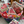 Load image into Gallery viewer, 611fc05e3c4ce80992caae23_coin-purse_1774914728645.png
