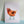 Load image into Gallery viewer, 611fc05e3c4ce80992caae23_cowgirl-chicken-print-1_1783029483741.jpg
