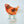Load image into Gallery viewer, 611fc05e3c4ce80992caae23_dscf9113_1783030394205.jpg
