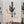 Load image into Gallery viewer, 611fc05e3c4ce80992caae23_ellen-orchard-saguaro2_1780604006581.jpg
