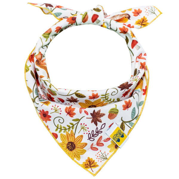 611fc05e3c4ce80992caae23_fall-floral-bandana_1755571744526.jpg