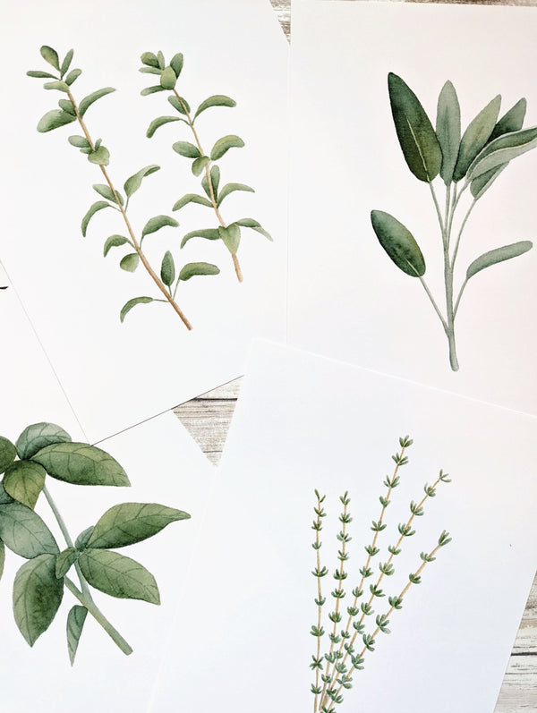 611fc05e3c4ce80992caae23_herbs-prints_1774991435406.jpg