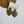 Load image into Gallery viewer, 611fc05e3c4ce80992caae23_img-3580-medium_1772046518603.jpeg
