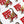 Load image into Gallery viewer, 611fc05e3c4ce80992caae23_img-8676_1787259393017.jpg
