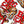 Load image into Gallery viewer, 611fc05e3c4ce80992caae23_img-8698_1787258350350.jpg
