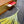 Load image into Gallery viewer, 611fc05e3c4ce80992caae23_img-9529_1790366656459.jpg
