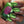 Load image into Gallery viewer, 611fc05e3c4ce80992caae23_lime-limbo-1_1778612095008.jpg
