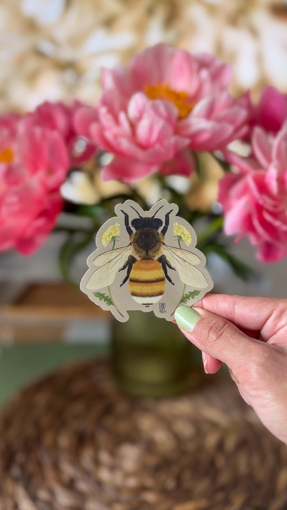 611fc05e3c4ce80992caae23_lls-product-bee-sticker-1_1747882341558.jpg