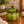 Load image into Gallery viewer, 611fc05e3c4ce80992caae23_olive_1790129544623.png
