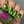 Load image into Gallery viewer, 611fc05e3c4ce80992caae23_photo-may-16-2025-6-41-15-pm_1778612080476.jpg
