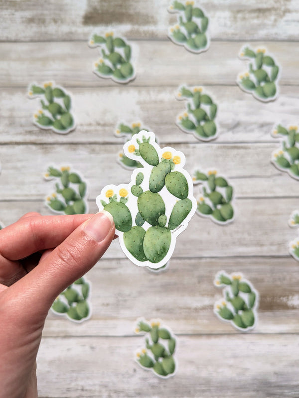 611fc05e3c4ce80992caae23_prickly-pear-single-sticker_1753884656685.jpg