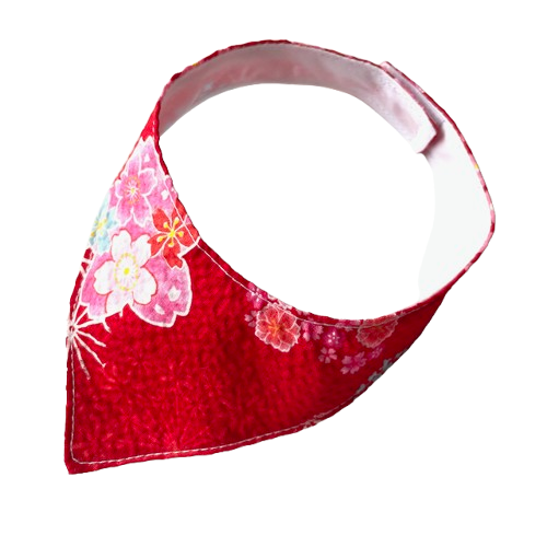 611fc05e3c4ce80992caae23_red-sakura-rbg_1791686791293.png