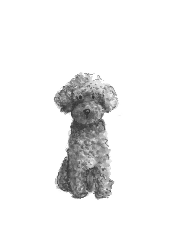 Mini Poodle Art Prints