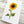 Load image into Gallery viewer, 611fc05e3c4ce80992caae23_sunflower-card-detail_1791836136002.jpg
